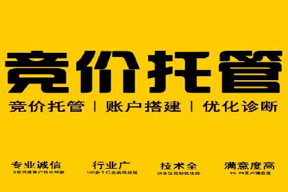 SEM主管实战：数据分析与策略调整